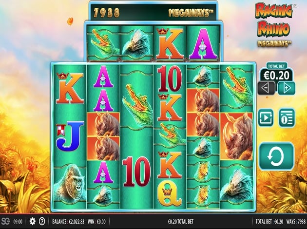 Da Vinci Diamonds Dual Gamble Slots Play play coyote moon slots free online for 100 % free Now! No Obtain Necessary